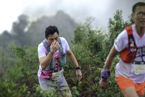 BIB: 206
                            <button type="button" onclick="openModal(24759921)" class="btn btn-primary btn-sm float-right btn-popup" data-toggle="modal" data-target=".modal-high-quality">
                        <i class="fas fa-shopping-cart"></i> Add to Cart
                    </button>
                                            <button type="button" onclick="isThisMe(24759921, true)" class="btn btn-success btn-sm float-right btn-popup btn-isme hidden" data-toggle="tooltip" data-placement="bottom" title="นี่คือรูปของคุณใช่ไหม คลิกที่นี่เพื่อเอาเข้าอัลบั้ม">
                        <i class="fas fa-plus"></i> Add to album
                    </button>
                    <button type="button" onclick="isThisMe(24759921, false)" class="btn btn-warning btn-sm float-right btn-popup btn-isnotme hidden">
                        <i class="fas fa-ban"></i> Remove from album
                    </button>